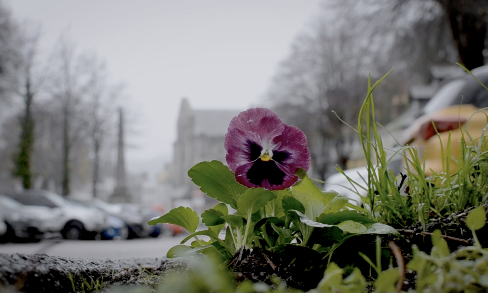 screenshot 2026 04 11 at 16.33.59